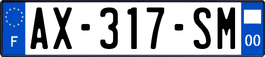 AX-317-SM