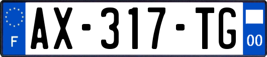 AX-317-TG