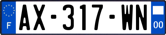 AX-317-WN