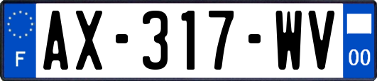 AX-317-WV