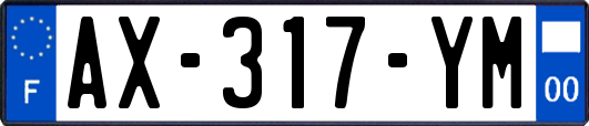 AX-317-YM