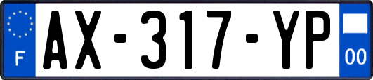 AX-317-YP
