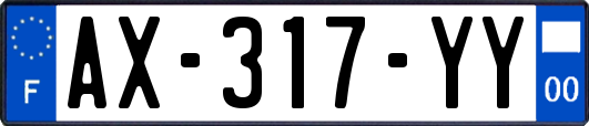 AX-317-YY