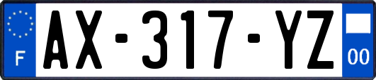 AX-317-YZ