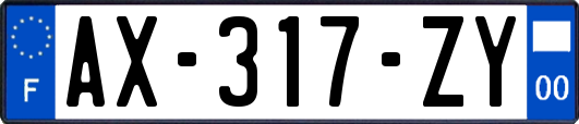 AX-317-ZY