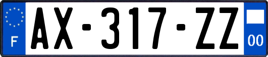 AX-317-ZZ