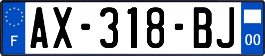 AX-318-BJ