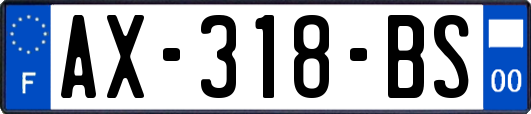 AX-318-BS