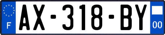 AX-318-BY