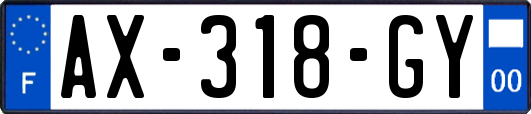 AX-318-GY