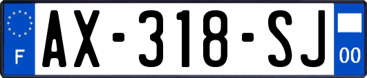 AX-318-SJ