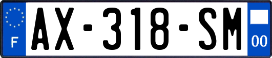 AX-318-SM