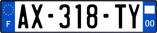 AX-318-TY