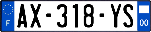 AX-318-YS