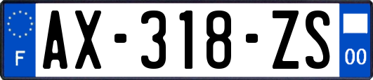 AX-318-ZS