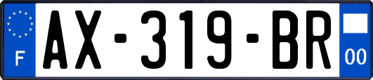 AX-319-BR