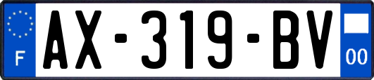 AX-319-BV