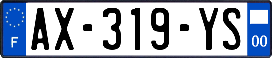 AX-319-YS