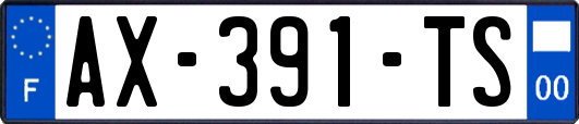 AX-391-TS
