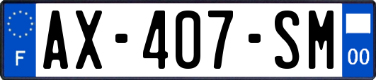 AX-407-SM