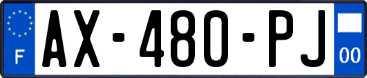 AX-480-PJ