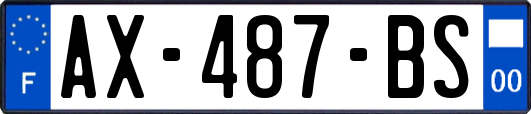 AX-487-BS