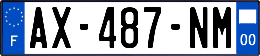 AX-487-NM