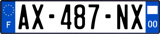 AX-487-NX