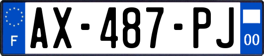 AX-487-PJ