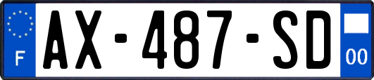 AX-487-SD