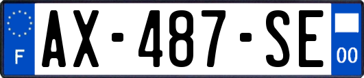 AX-487-SE