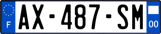 AX-487-SM