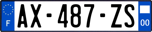 AX-487-ZS