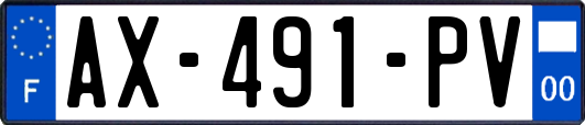 AX-491-PV