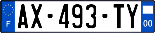AX-493-TY
