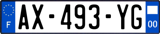 AX-493-YG