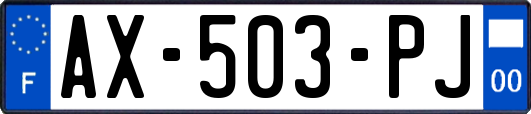AX-503-PJ