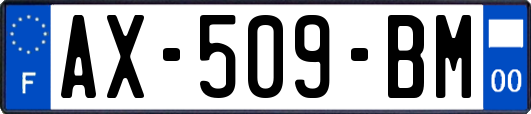 AX-509-BM