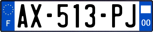 AX-513-PJ