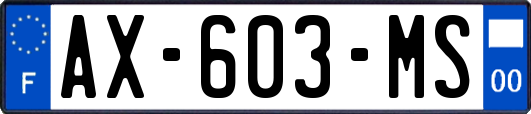 AX-603-MS