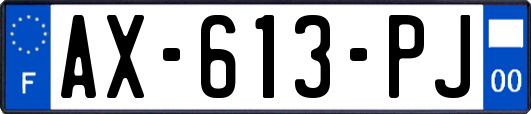 AX-613-PJ