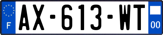 AX-613-WT