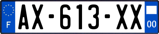 AX-613-XX