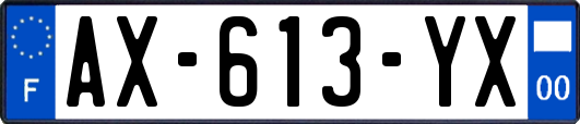 AX-613-YX