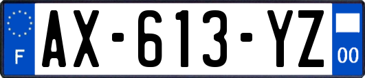 AX-613-YZ
