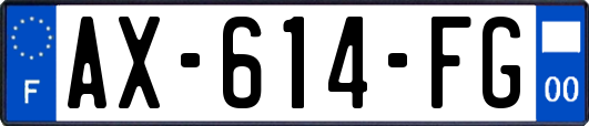 AX-614-FG