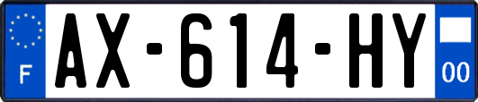 AX-614-HY