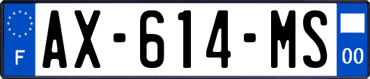 AX-614-MS