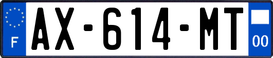AX-614-MT