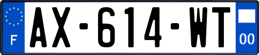 AX-614-WT